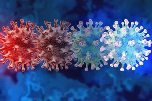 Vaccine kém hiệu quả trước biến thể mới B.1.1.529 với số lượng đột biến cao-1