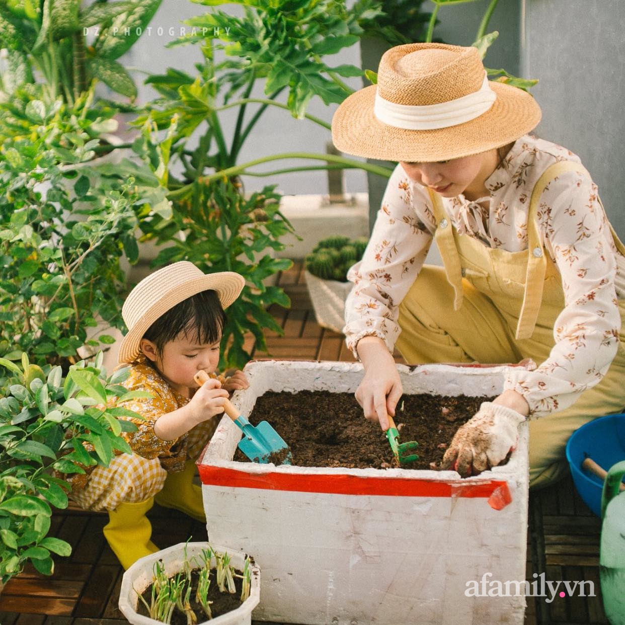 Ước mơ một khu vườn xanh tốt, bà mẹ trẻ sốc nặng vì trồng rau khó như làm thơ”, cuối cùng thì cũng thu được trái ngọt sau bao đau thương”-1