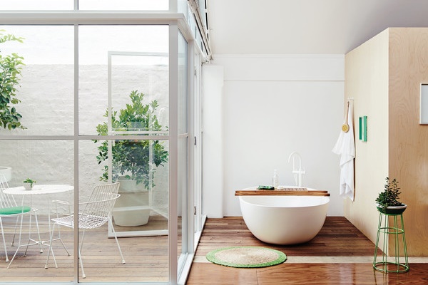 8 loại cây cảnh hút khí độc thường được chọn để trồng trong nhà, giúp nhà bạn có chất lượng không khí tốt hơn-9