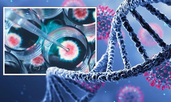 Omicron: Hành trình xuyên thủng lục địa chỉ trong 2 tuần của siêu biến thể Covid tồi tệ nhất từ trước đến nay-2