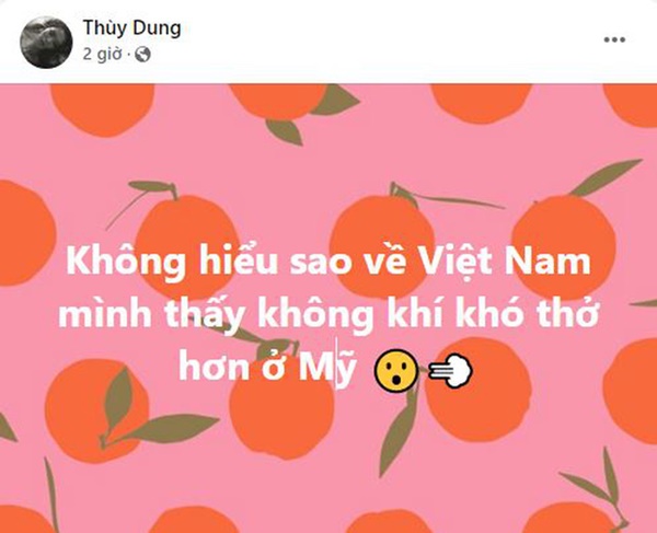 Hoa hậu Việt Nam Thuỳ Dung gây bức xúc vì status: Về Việt Nam không khí khó thở hơn ở Mỹ-1