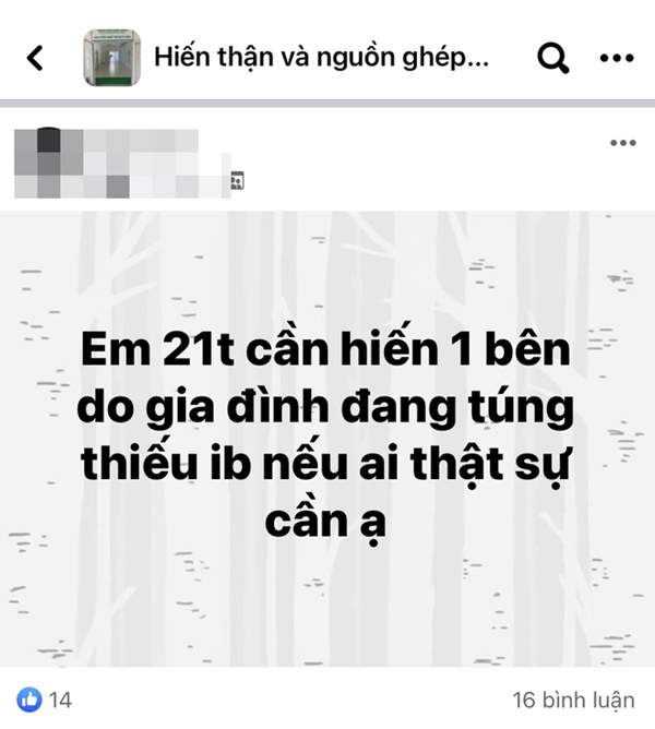 Phóng sự đặc biệt đường dây mua bán nội tạng - kỳ 1: Đằng sau những group hiến tạng nhân đạo và đoạn chat mồi người bán gây sốc-6