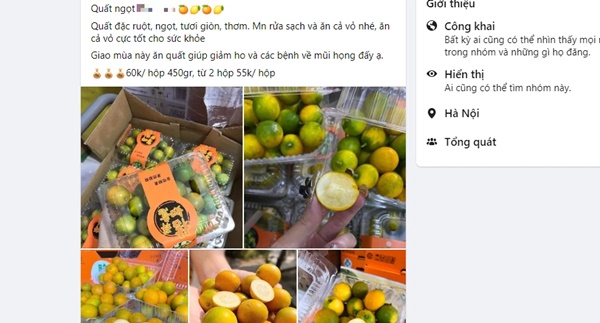 Quất mà lại ngọt - loại quả vừa lạ vừa quen này chị em ăn thử là thích mê-1