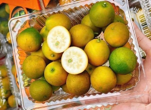 Quất mà lại ngọt - loại quả vừa lạ vừa quen này chị em ăn thử là thích mê-2