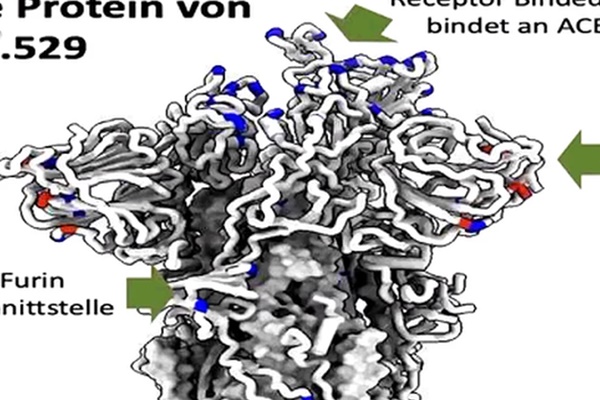 Người mắc COVID-19 và đã hồi phục có thể dễ bị tái nhiễm siêu” biến thể Omicron-1