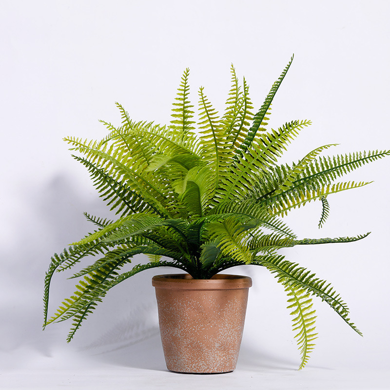 8 loại cây cảnh hút khí độc thường được chọn để trồng trong nhà, giúp nhà bạn có chất lượng không khí tốt hơn-7