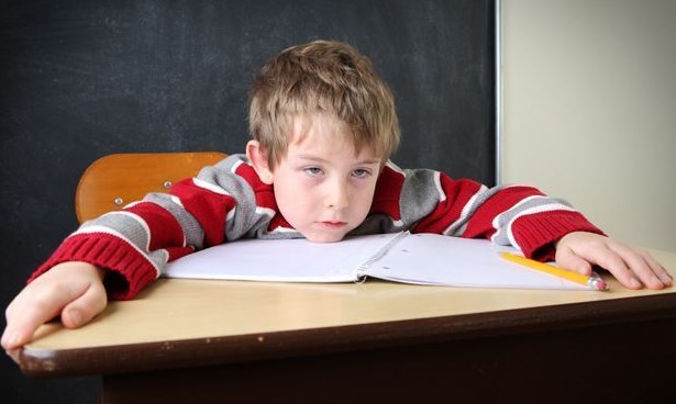 Để đối phó với sự mệt mỏi trong học tập của trẻ, các bậc cha mẹ thông minh nên làm điều này-1