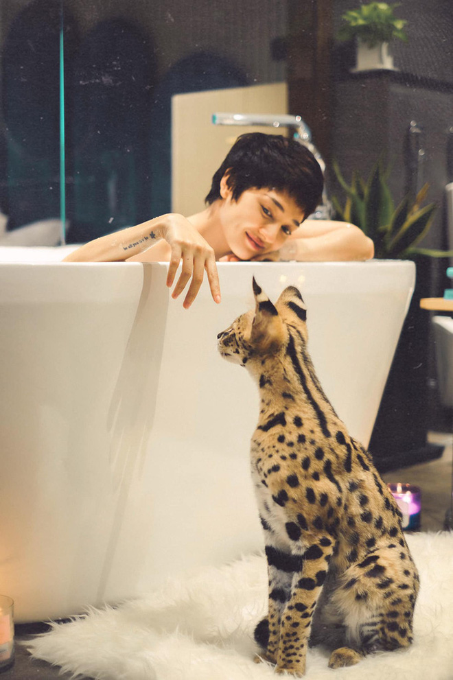 Phòng tắm nhà người nổi tiếng sang chảnh cỡ nào: Hương Giang chuộng thiết kế hoàng gia, Quỳnh Anh Shyn phối màu với cảm hứng từ Hy Lạp-4