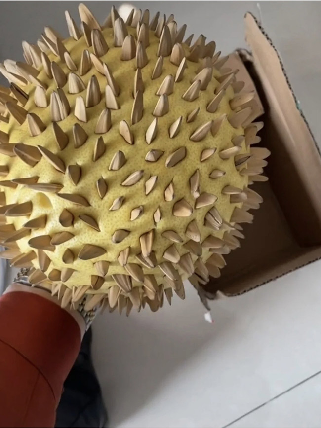 Đặt quả sầu riêng giá rẻ trên mạng, khách sốc nặng với thứ bên trong-2