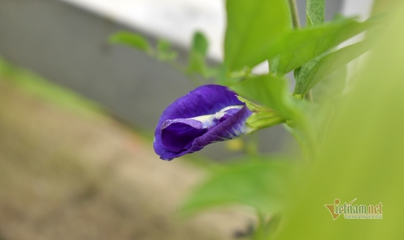 Chán chồng, yêu sếp và rồi tôi mất cả hai-1