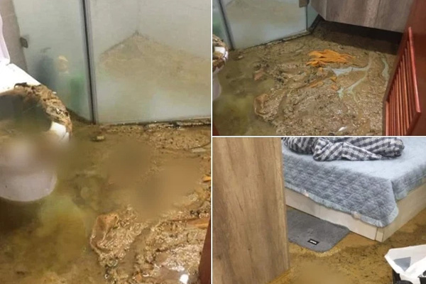 Vụ đất vàng Lê Duẩn: Nữ đại gia phủ nhận có tư tình với ông Nguyễn Thành Tài-4