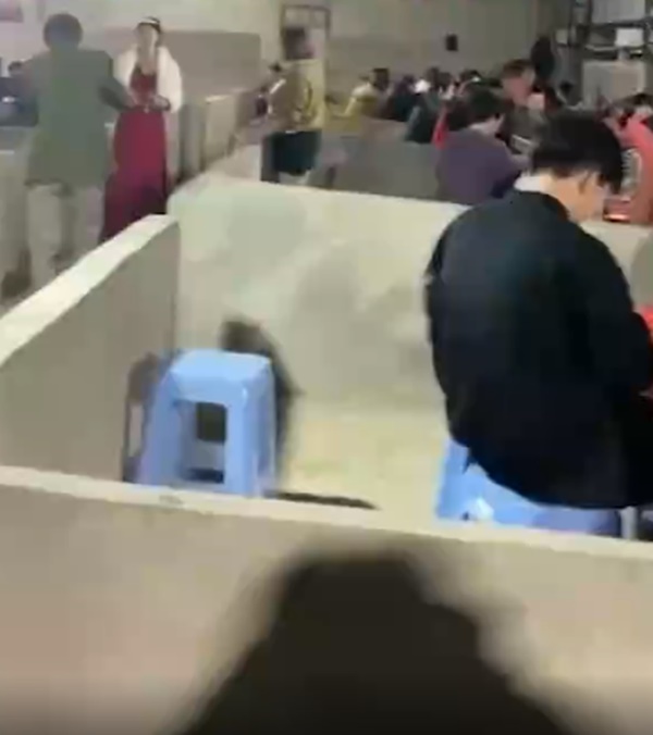 Cô gái tổ chức đám cưới trong chuồng lợn, quan viên hai họ mỗi mâm một chuồng đảm bảo giãn cách-1