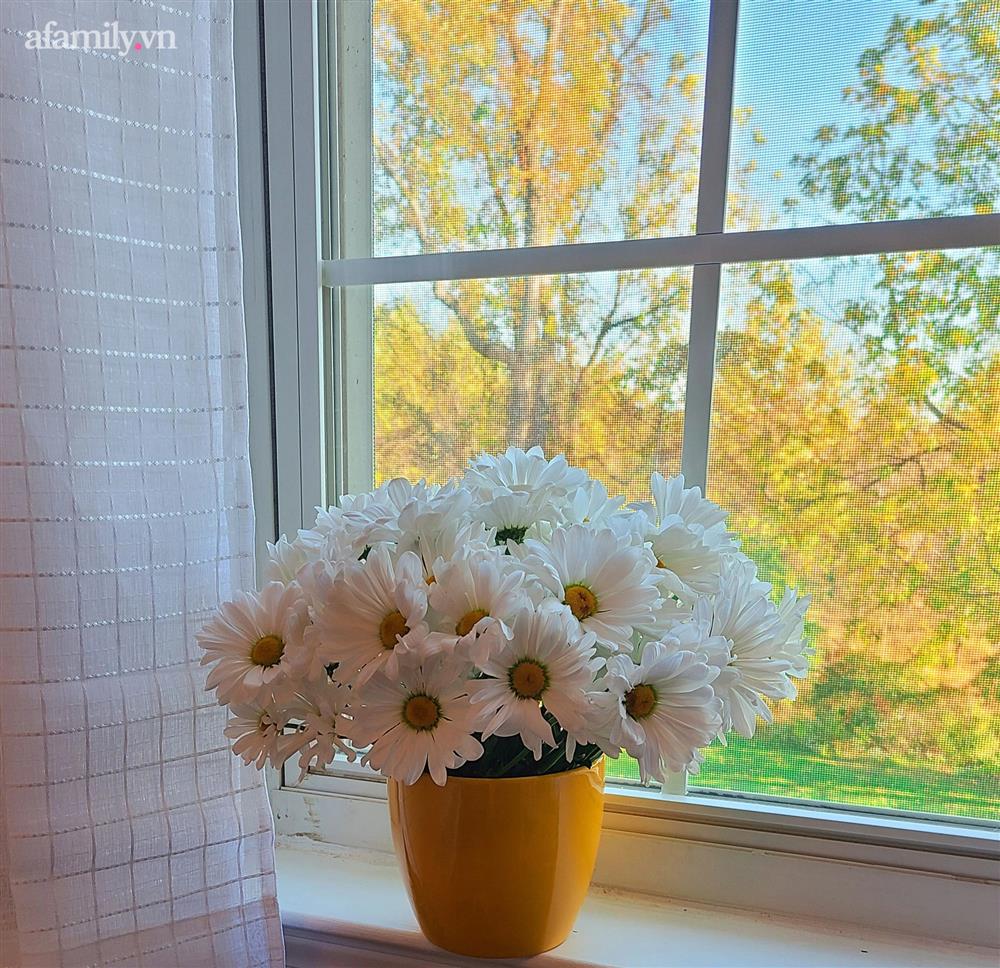 Ngắm ngôi nhà theo phong cách vintage, sân vườn bát ngát hoa đẹp như tranh vẽ của mẹ Việt ở Mỹ-3