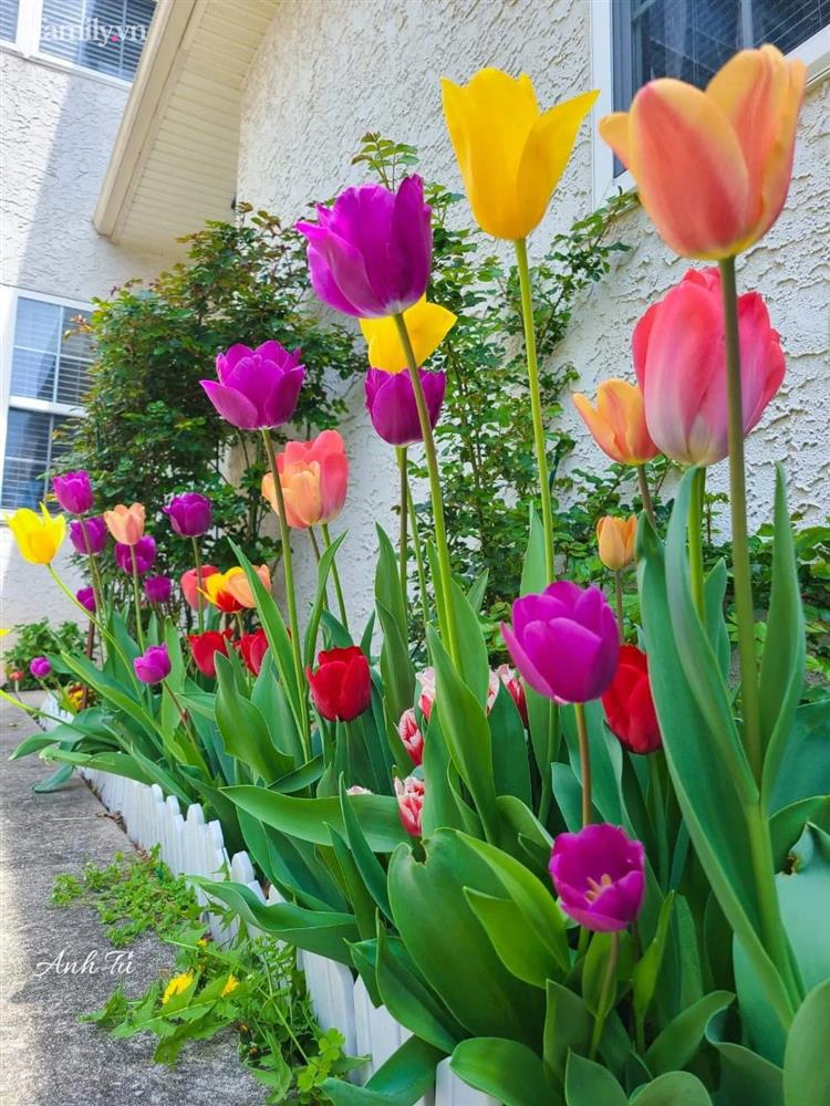 Ngắm ngôi nhà theo phong cách vintage, sân vườn bát ngát hoa đẹp như tranh vẽ của mẹ Việt ở Mỹ-10