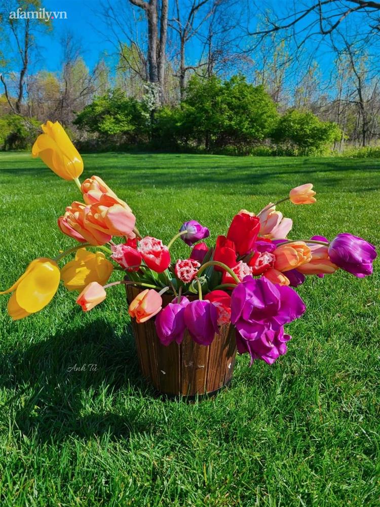 Ngắm ngôi nhà theo phong cách vintage, sân vườn bát ngát hoa đẹp như tranh vẽ của mẹ Việt ở Mỹ-12