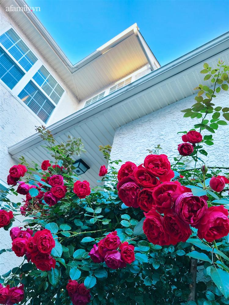 Ngắm ngôi nhà theo phong cách vintage, sân vườn bát ngát hoa đẹp như tranh vẽ của mẹ Việt ở Mỹ-13