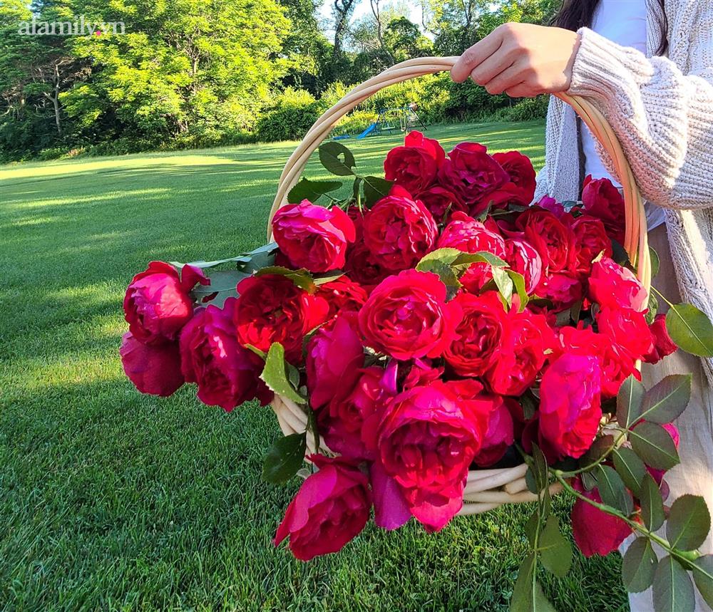 Ngắm ngôi nhà theo phong cách vintage, sân vườn bát ngát hoa đẹp như tranh vẽ của mẹ Việt ở Mỹ-14