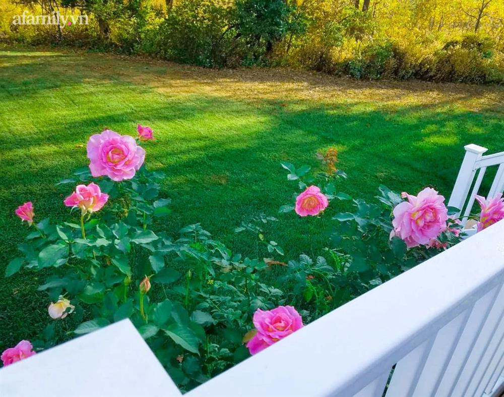 Ngắm ngôi nhà theo phong cách vintage, sân vườn bát ngát hoa đẹp như tranh vẽ của mẹ Việt ở Mỹ-15