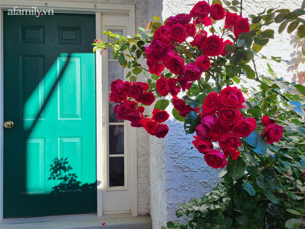 Ngắm ngôi nhà theo phong cách vintage, sân vườn bát ngát hoa đẹp như tranh vẽ của mẹ Việt ở Mỹ-16