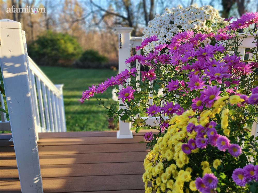 Ngắm ngôi nhà theo phong cách vintage, sân vườn bát ngát hoa đẹp như tranh vẽ của mẹ Việt ở Mỹ-21