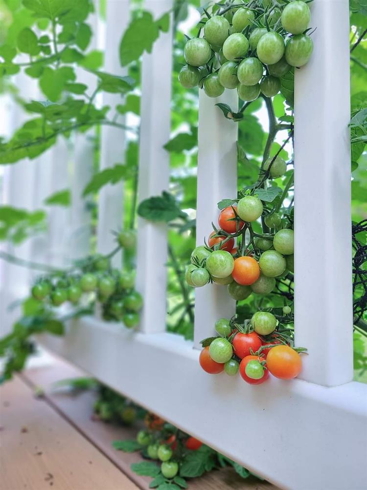 Ngắm ngôi nhà theo phong cách vintage, sân vườn bát ngát hoa đẹp như tranh vẽ của mẹ Việt ở Mỹ-22