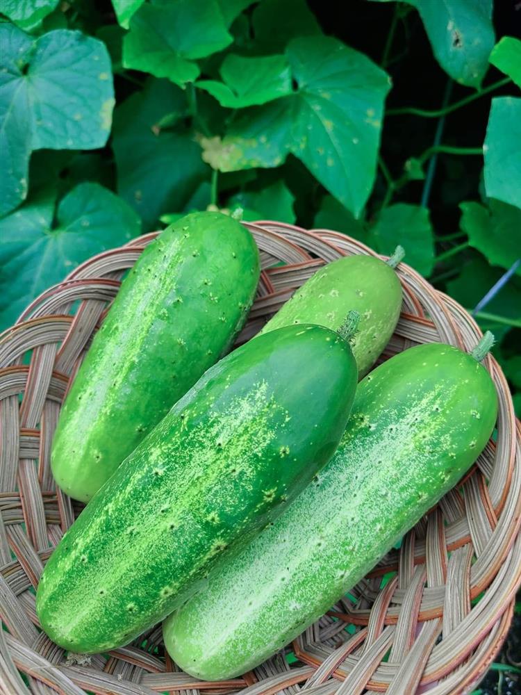 Ngắm ngôi nhà theo phong cách vintage, sân vườn bát ngát hoa đẹp như tranh vẽ của mẹ Việt ở Mỹ-25