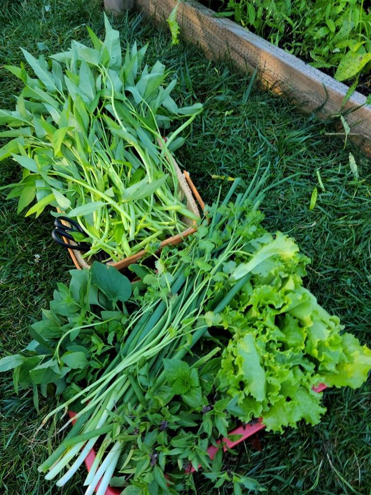 Ngắm ngôi nhà theo phong cách vintage, sân vườn bát ngát hoa đẹp như tranh vẽ của mẹ Việt ở Mỹ-26