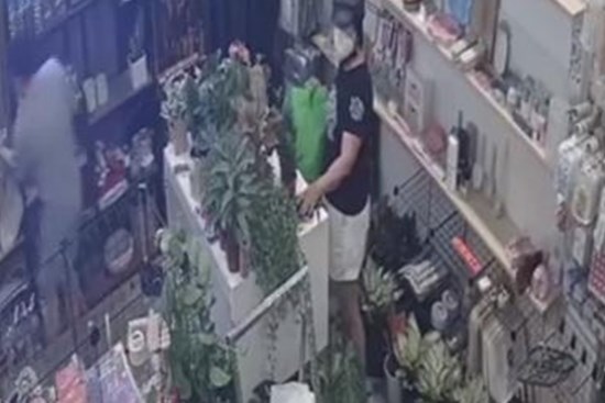 Vào mua cây cảnh, người phụ nữ 'tiện tay' cuỗm luôn điện thoại gần 30 triệu