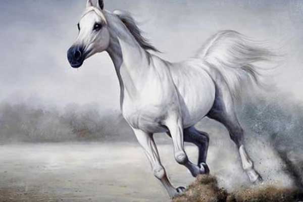 Thầy tử vi gọi tên: 3 con giáp sao Thiên Hoàng chiếu mệnh cuộc sống giàu sang, tiền bạc chật ví 100 ngày tới-3