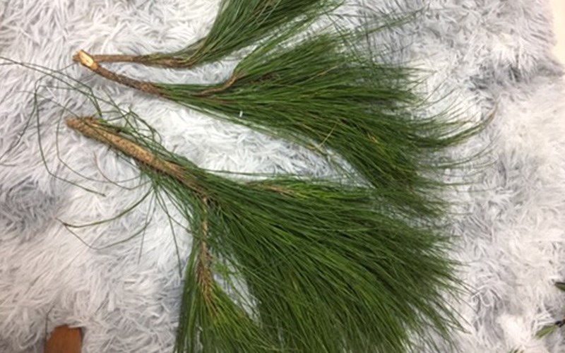 Ra chợ mua trái cây đừng chỉ chọn cam màu vàng, nhìn 6 điểm này sẽ chọn được quả ngon ngọt nhất-5