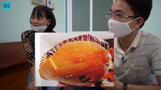 Cắn phải ngọc quý khi ăn ốc giác, một gia đình Vũng Tàu hô bán 8 tỷ đồng!-2