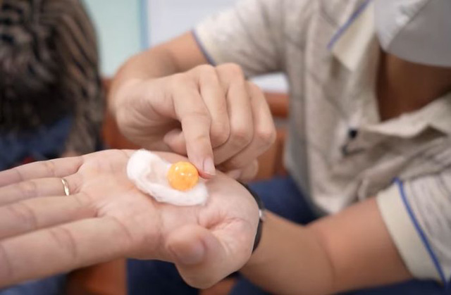 Cắn phải ngọc quý khi ăn ốc giác, một gia đình Vũng Tàu hô bán 8 tỷ đồng!-4