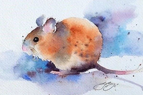 Tháng 11 âm lịch, ai khổ mặc ai, riêng 3 con giáp này gặp thời đổi vận, tài lộc ùn ùn kéo đến-1