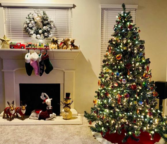 Vợ cũ Lam Trường khoe không gian sống tràn ngập không khí Giáng sinh-4