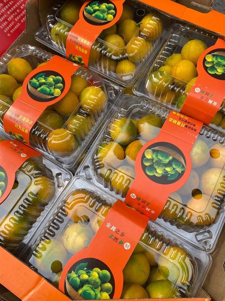 Giá rẻ chưa từng có, quất ngọt Đài Loan tràn ngập chợ-3