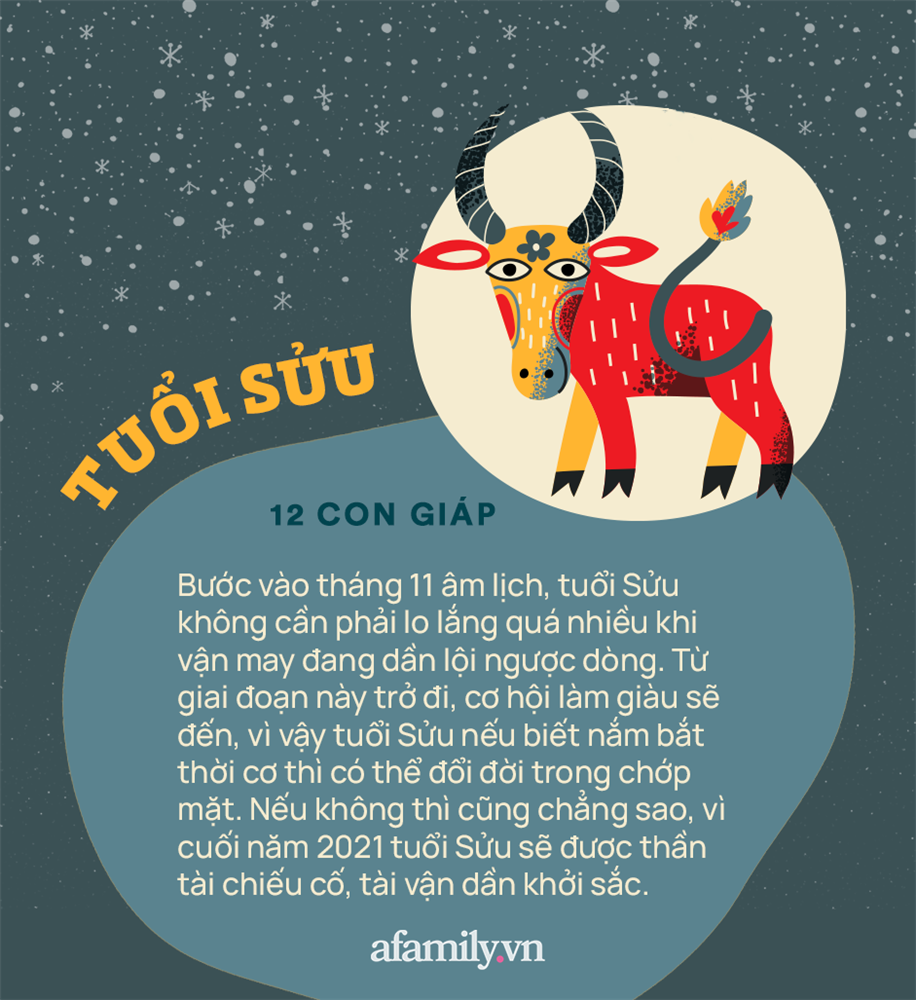 Cơ hội làm giàu của 12 con giáp trong tháng 11 âm lịch: Nhiều người thăng hoa cả tình lẫn tiền, một số ít chịu khó chờ đợi thời cơ-2