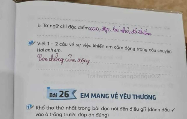 Học sinh tiểu học làm bài tập Tiếng Việt, viết đúng 4 từ mà phụ huynh cười ngất: Con nhà mình lòng dạ sắt đá quá!-1