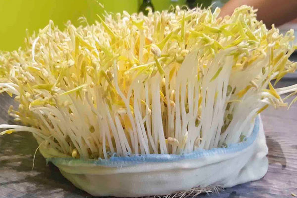 Bật chế độ ăn healthy giữ dáng, Hồng Quế vào bếp nấu loạt món ngon khoẻ đẹp từ trong ra ngoài, chị em học tập ngay!-12