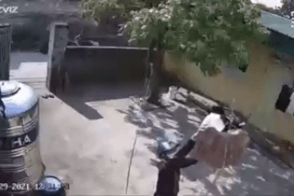 Clip: Đi trộm gặp 2 con chó Pitbull, thanh niên bỏ chạy thục mạng-1