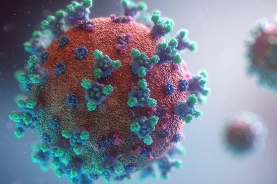 Vì sao biến thể Omicron xuất hiện? Điều cần làm ngay để tránh xuất hiện thêm biến thể mới