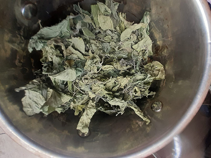 Loại cây mọc đầy vườn nhà: Trước nhổ cho không, nay giá gần triệu đồng/kg-3