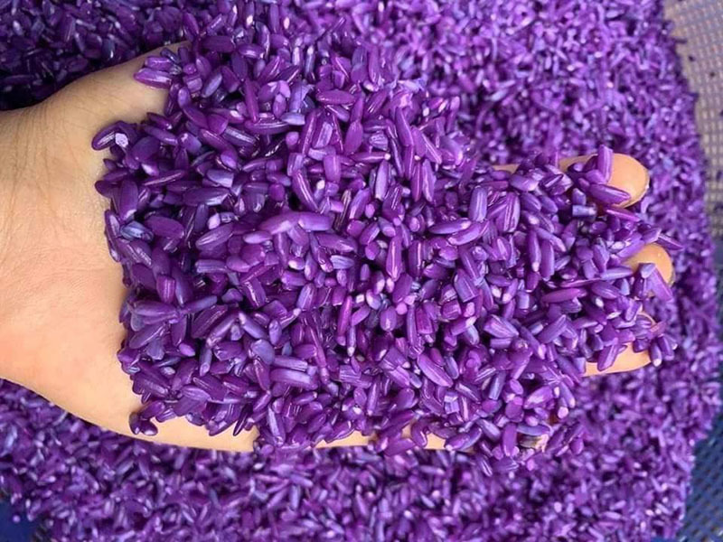 Loại cây mọc đầy vườn nhà: Trước nhổ cho không, nay giá gần triệu đồng/kg-4