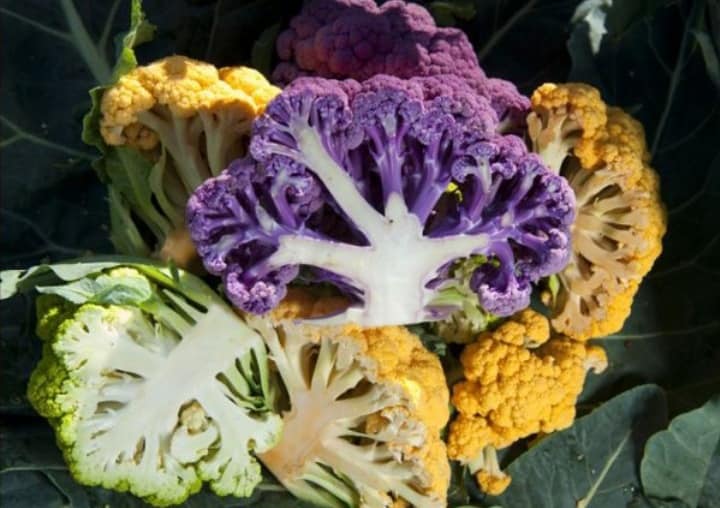 Súp lơ cầu vồng nhập khẩu giá ngất ngưởng cao gấp 10 lần súp lơ nội địa, khách vẫn mua ào ào-5