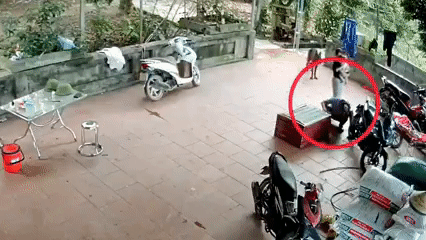 Kinh hoàng: Người đàn ông bất ngờ bị con trăn khủng cắn thẳng vào mặt rồi nghiến chặt, quá trình giải cứu căng thẳng tột độ-1