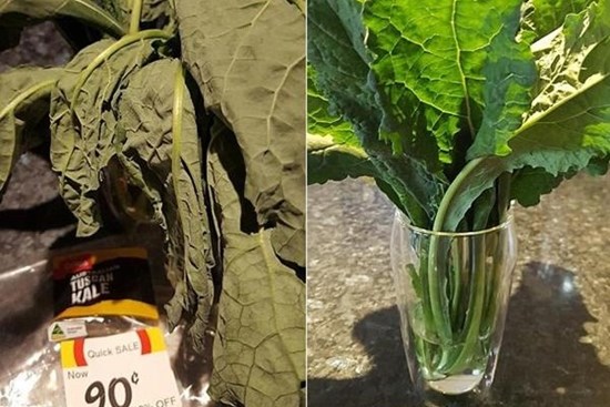 Thấy rau héo đừng vứt đi hoặc cứ mua về, làm theo cách cực đơn giản này hô biến rau tươi trở lại như vừa mới mua,