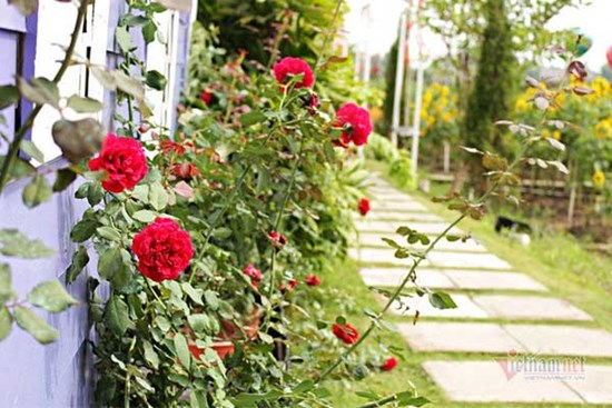 Chồng đi sửa điện cho cô hàng xóm và điều không người vợ nào muốn thấy