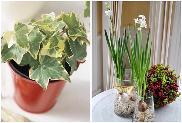 9 thứ bạn tuyệt đối đừng bao giờ đặt trong phòng ngủ-8