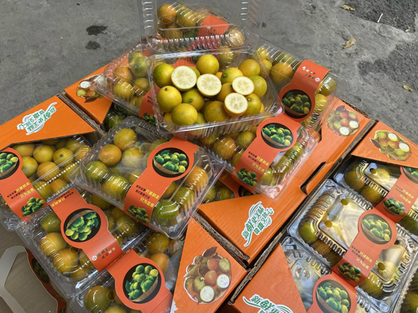 Loại quả nhập khẩu sang chảnh bỗng rao bán giá rẻ bất ngờ, dân buôn ngày bán cả tấn-3