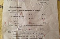Hỏi 'Số 49 gồm...', học trò ra kết quả '4 và 9' nhưng bị gạch sai, xem lời giải mới thấy Toán lớp 1 phức tạp cỡ nào!