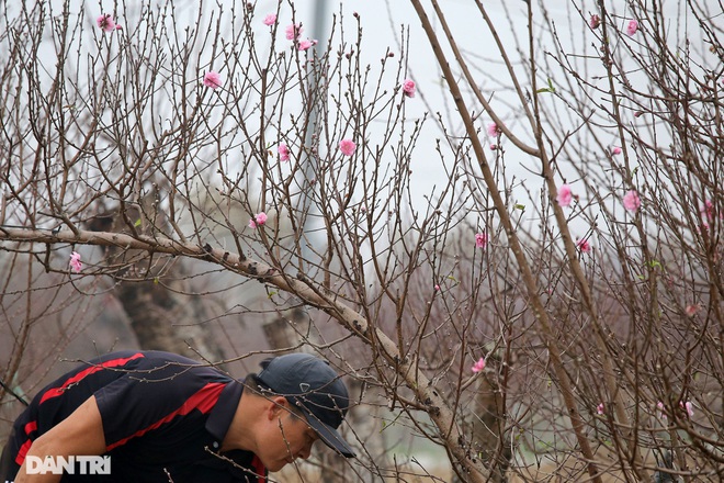 Chốt đề xuất lịch nghỉ Tết Nguyên đán Nhâm Dần năm 2022-1